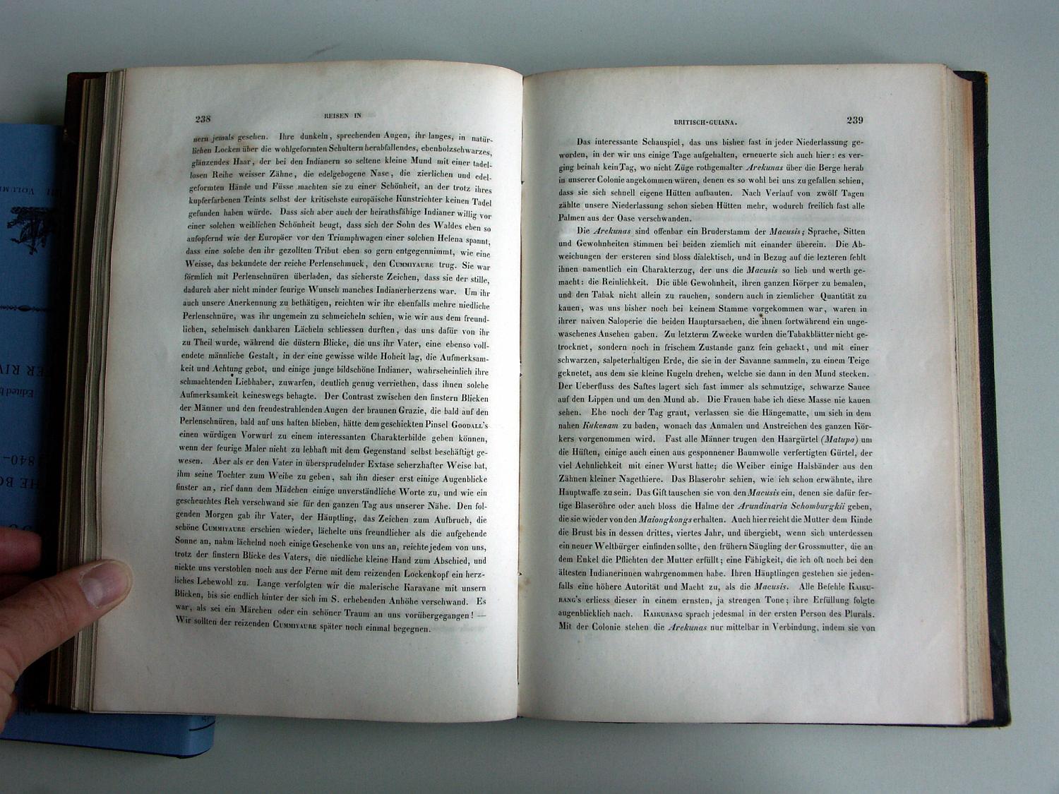 ZZ-RISC48,S.238 Arecuna und Macushi